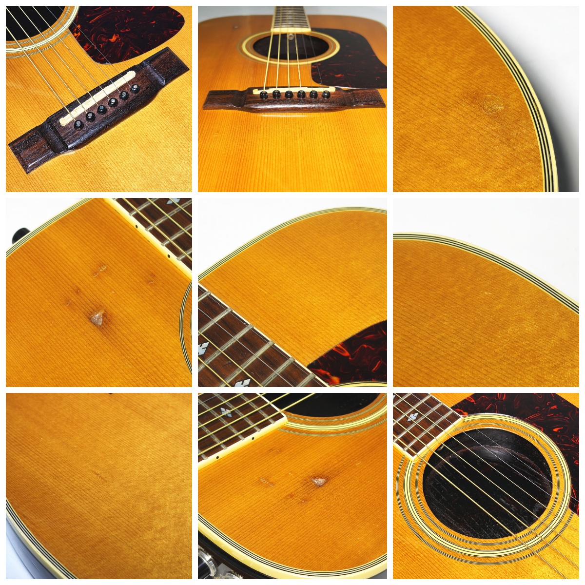 WASHBURN SBF-26 - 画像 (3)