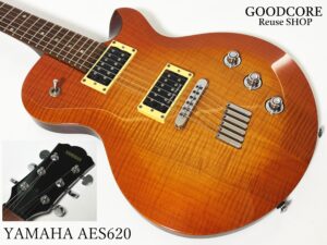 YAMAHA AES620